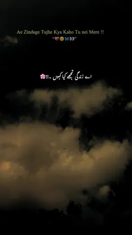 اے زندگی تجھے کیا کہوں تو نے میرے ساتھ کیا کیا 🫠💔#fyp #1millionaudition #foryoupage #grow #account @TikTok 