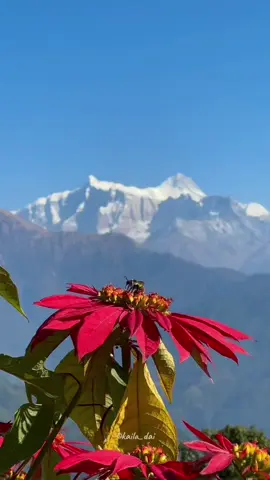 #kesfet #kesfet #kesfet #kesfet 