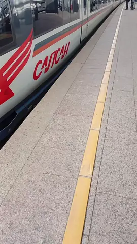 сапсан отправляется о станции Крюково до линбан     на этом сапеке зачепероф небыло