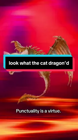 look what the cat dragon #comedian #cat #dragon #comedy #fyp 
