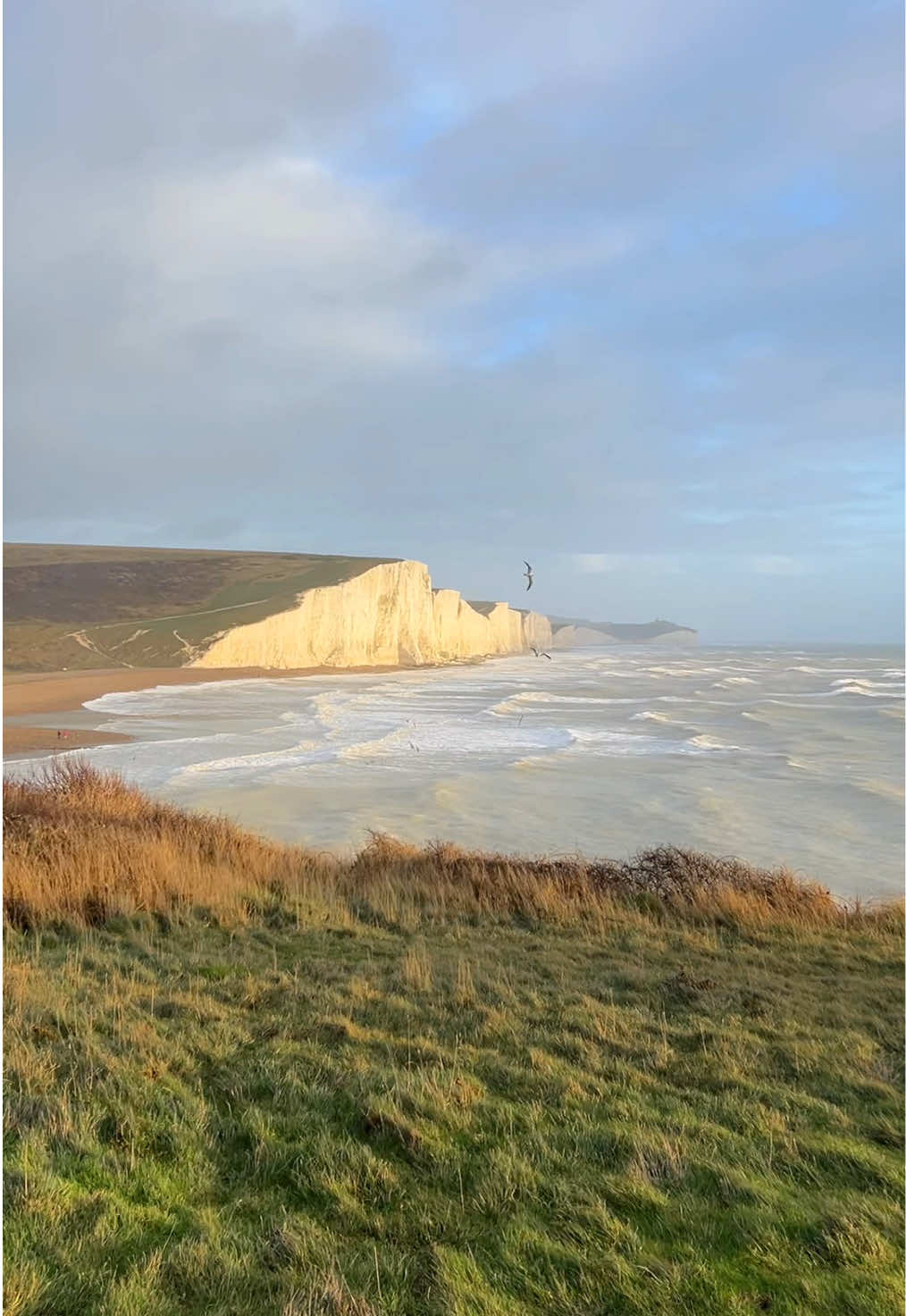 3pm light by the sea ✨