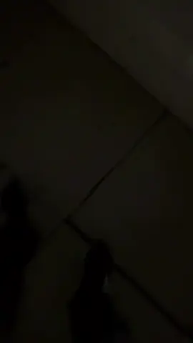 سقط الطاغية بشار الأسد  #syria🇸🇾 #damascus 