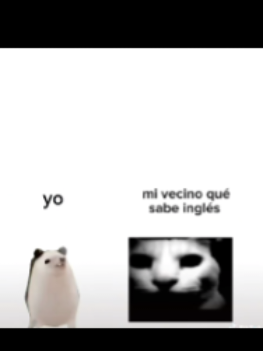 Humor🤑#tiktok#XD#memes#metamorphosis#🤙🏼