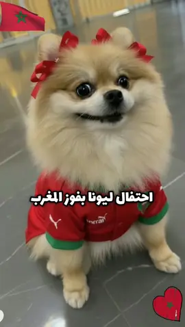 مبروك المغرب 🇲🇦🇲🇦🇲🇦🇲🇦@missdouaa  #جيش_الاناناس🍍🍍 #مباراة_المغرب_السعودية #المغرب🇲🇦🇲🇦 #ليونا #missdouaa 