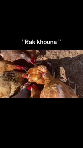 Factt💔💔 . . . #fyp #fyppppppppppppppppppppppp #الشعب_الصيني_ماله_حل😂😂 #foryou #fypage 