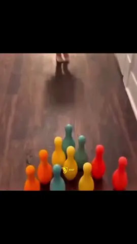 الحمدان ‼️ #السعودية_المغرب #كاس_العرب #explore #المدرج_الذهبي #السعودية 