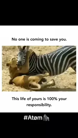 #positivity #successmotivation #Atøm⚛️ #lifelesson 