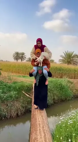 برج ايفل النسائي تحت الماء🫣 #طرائف_مضحكه 