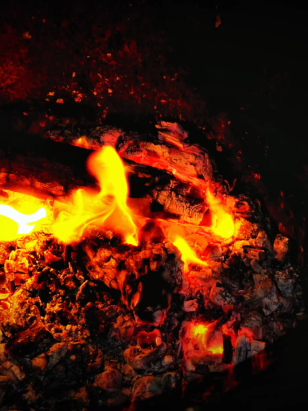 #تصويري (وَاهـَجـَࢪهُـَم هَـَجـَࢪاً جـَمـَيـَلا)