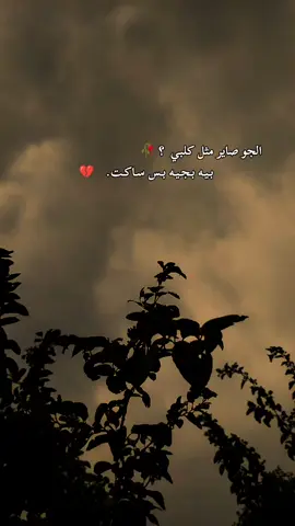 #عبارتكم #😔🥀💔 