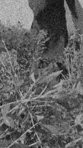 #CapCut #typppppppppppppppppppppppppppppppppp #dilkash_jutti07 