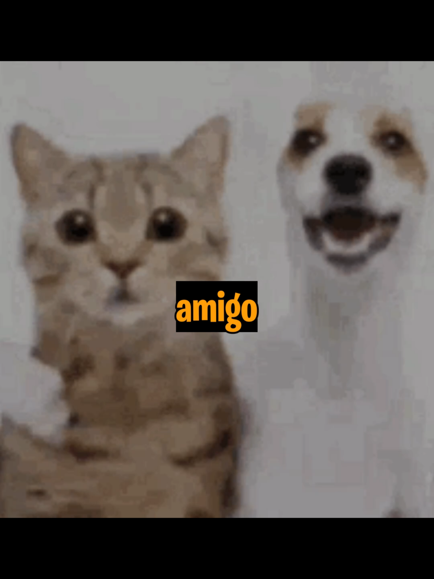 TU MEJOR AMIGO NO PUEDE SABER ESTO #historia #HistoryTime #curiosidades #videojuegos #pelicula #HISTORIA #MEMES #colegio #comedia #amigos #famosos #videojuego #polemica #salseo #noticias #serie #latinoamerica #series #clips