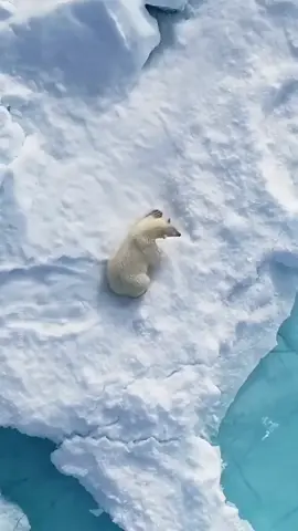 #سبحان_الله_وبحمده_سبحان_الله_العظيم 