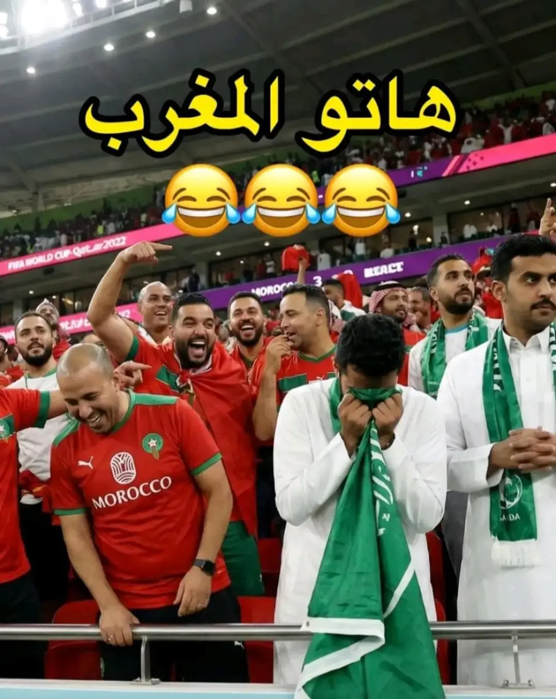 #هاتو المغرب هههه 🤣🤣#اسود الاطلس #المغرب 