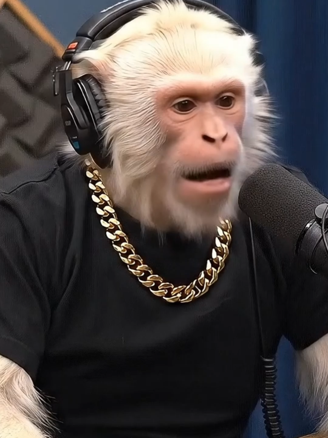 #gemini #veo3 #podcast #comunicação