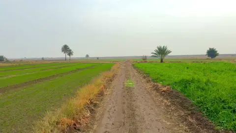 متابعه للحساب🫶🏼🖤#شعر #جبار_العبادي #fyp #متابعه_ولايك_واكسبلور_احبكم #تصويري_احترافي_الاجواء👌🏻🕊😴 