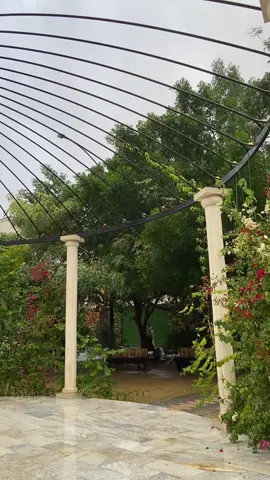 #الرمادي #الانبار #العراق #explore #like 