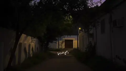 #الشيخ_الشعراوي 