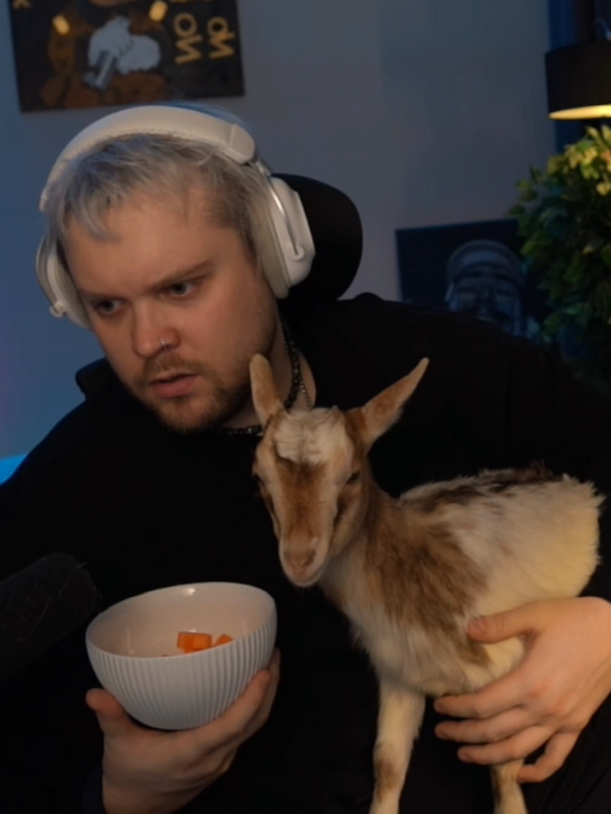 ОПЯТЬ ЗА СТАРОЕ )) twitch: GUACAMOLEMOLLY  #guacamolemolly #маркгуакамоле #twitch #реки #fypシ゚viralシ 