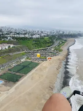 Última locura de mi año 🥰🥰🥰#viraltiktok #viral_video #viralvideos 