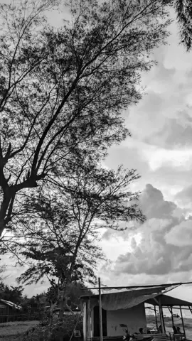 #andaiakubisa #chrisye #liriklagu 