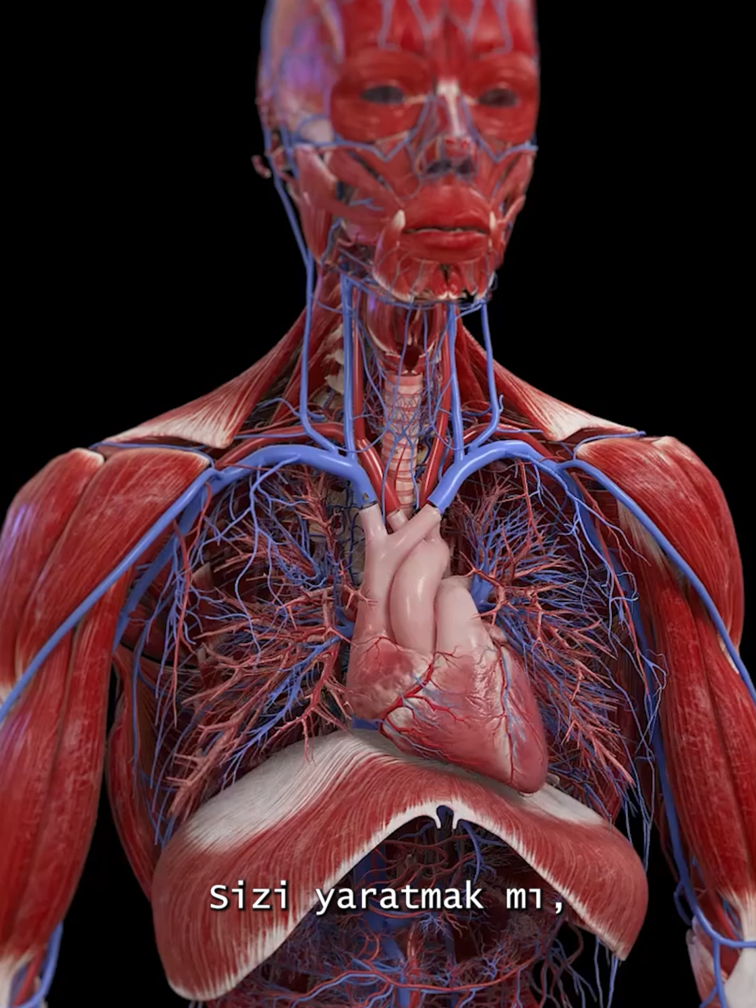 Bak Allahın rahmet eserlerine!