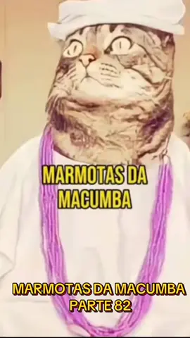 MARMOTAS DA MACUMBA PARTE 82 #comedia #macumba #marmota #tiktokbrasil #marmotagem 
