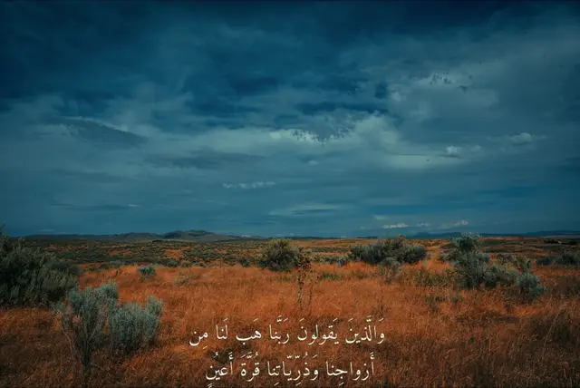 #قران_كريم #قران #اجر_لي_ولكم #quran_alkarim #quran 