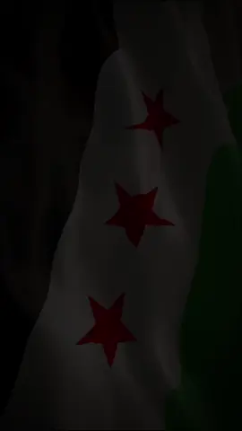 سوريا حره ابيه 8/12/2025💚💚💚 #سوريا_تركيا_العراق_السعودية_الكويت  #CapCut 