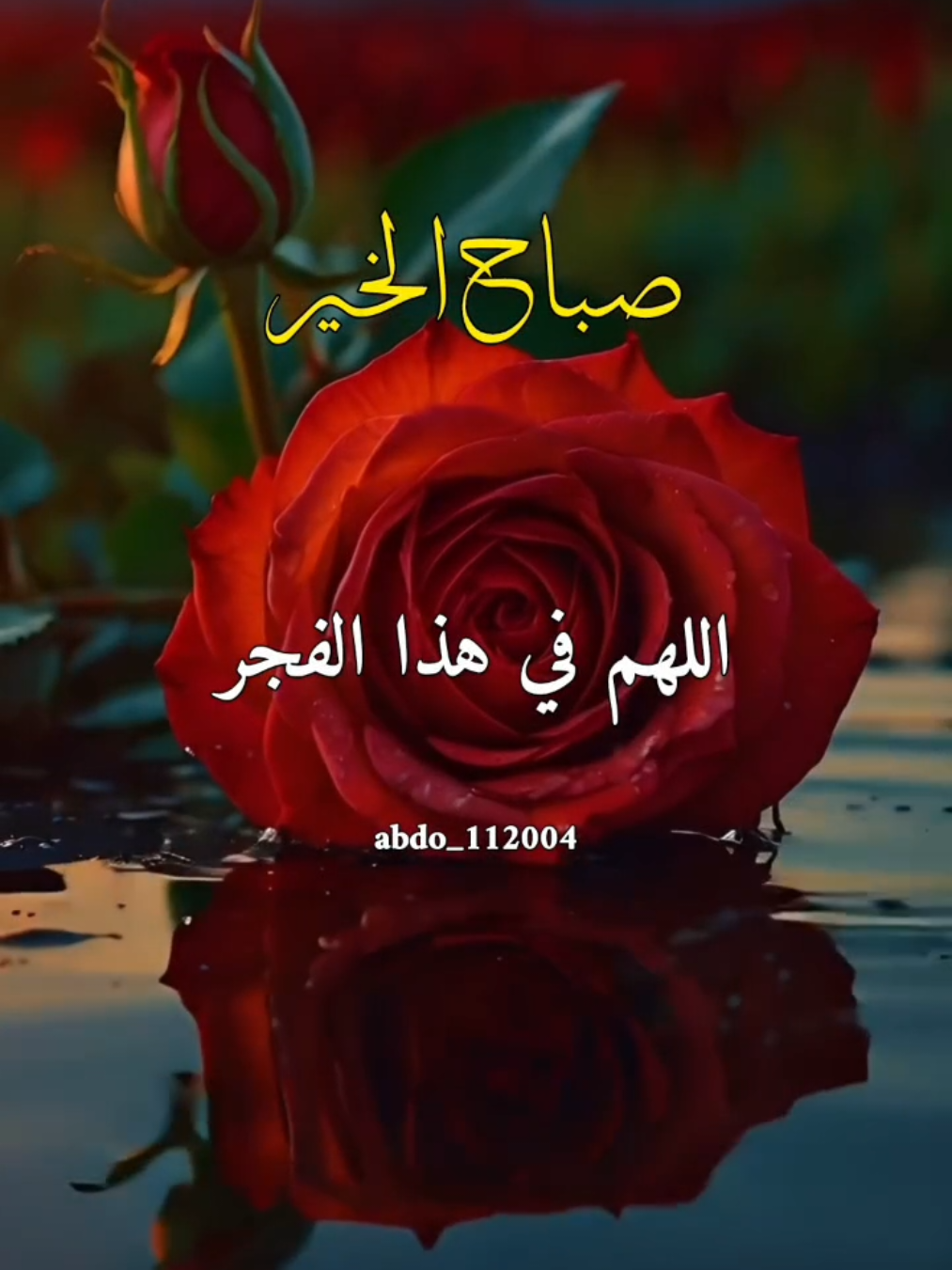 #صباح_الخير #abdo_112004  اللهم في هذا الفجر  #اللهم_لك_الحمد_ولك_الشكر #اللهم_صلي_على_نبينا_محمد #اللهم_امين_يارب_العالمين 