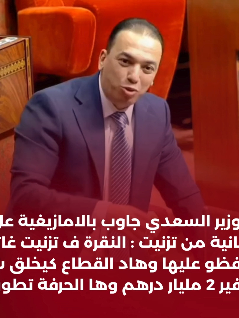 الوزير السعدي جاوب بالامازيغية على برلمانية من تزنيت: النقرة ف تزنيت غاتبقا ونحافظو عليها وهاد القطاع كيخلق شيفر دافير 2 مليار درهم وها الحرفة تطورت
