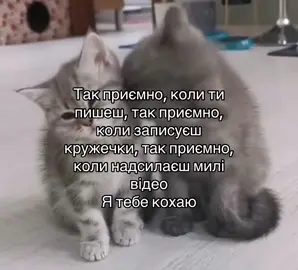 #wlw #virаl #fyp #elbruso #fup @франківський ледар 