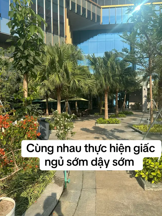 Cùng nhau thực hiện giấc ngủ nhé #chamsocsuckhoechudong #dathongkinhlac #đôngyTrungHoa #xuhuongtiktok #xuhuong2025🥰 