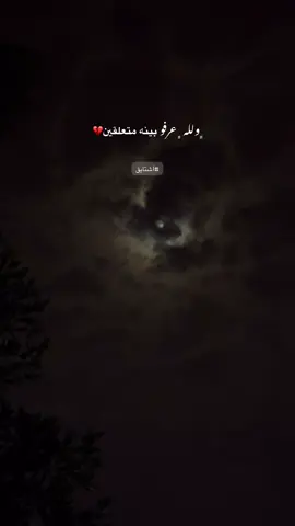ولله عرفو بينه متعلقين ž💜#اكسبلور #عبارات #مشاعر_حزينهz #فديوات 