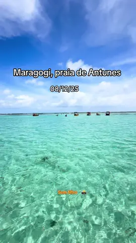 Vem viver as melhores emoções com a Antunes foto Sub Tuor 📸⛵️🐠 📲 82981285680