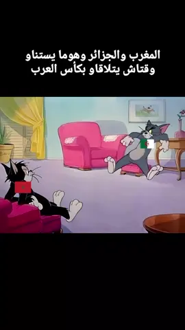 #الجزائر #كأس_العرب #morroco🇲🇦❤️ #fyp #قطر2025 @بلال فري فاير 