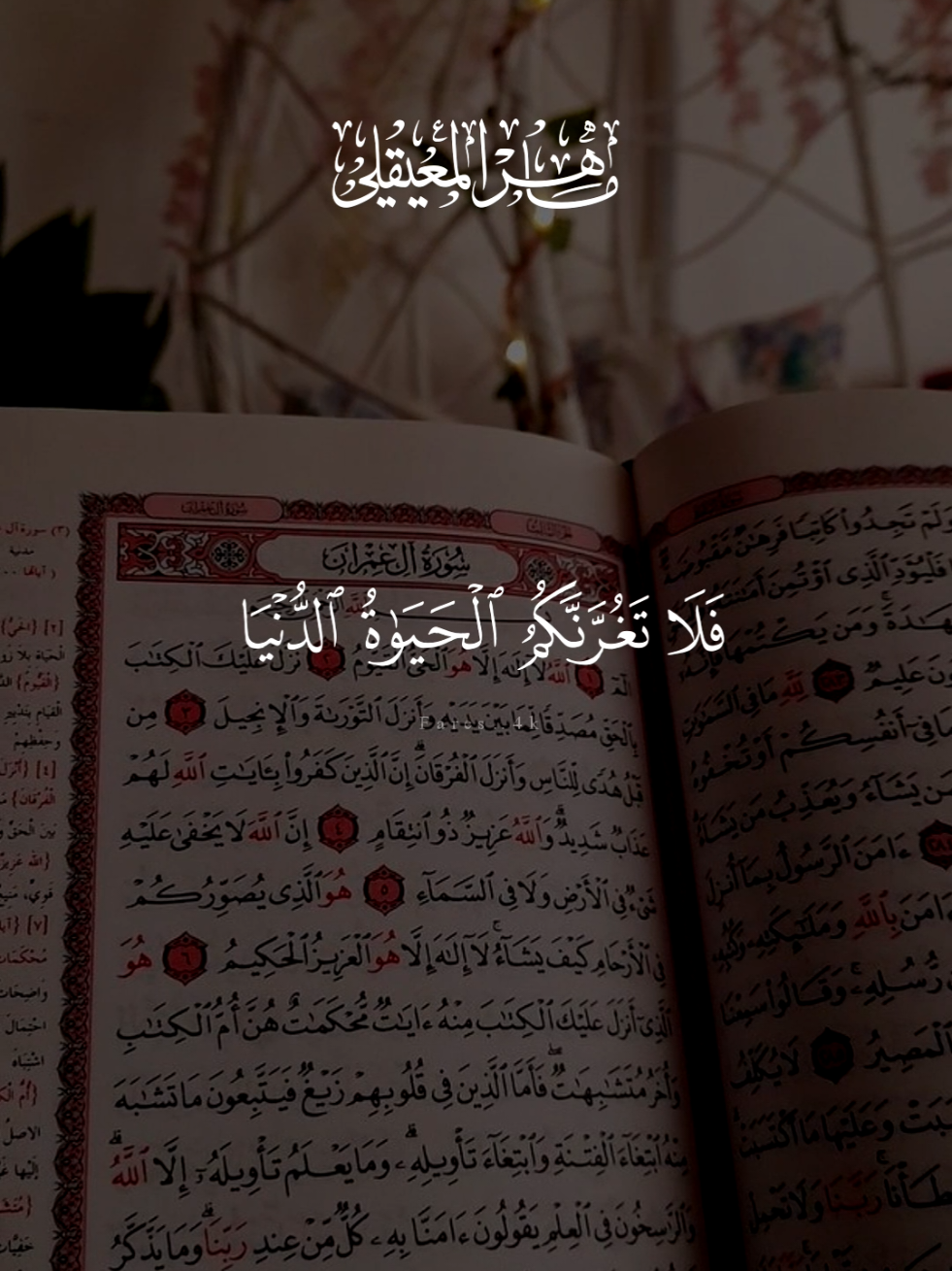 #قران #ماهرالمعيقلي #quran #قران_كريم #تلاوة_خاشعة 