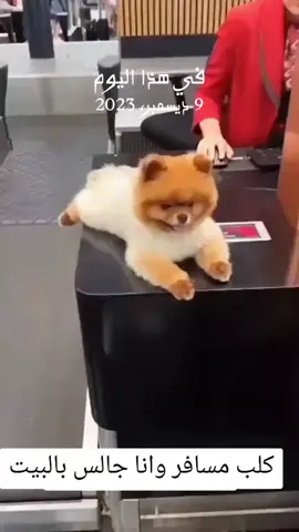 #في هذا اليوم