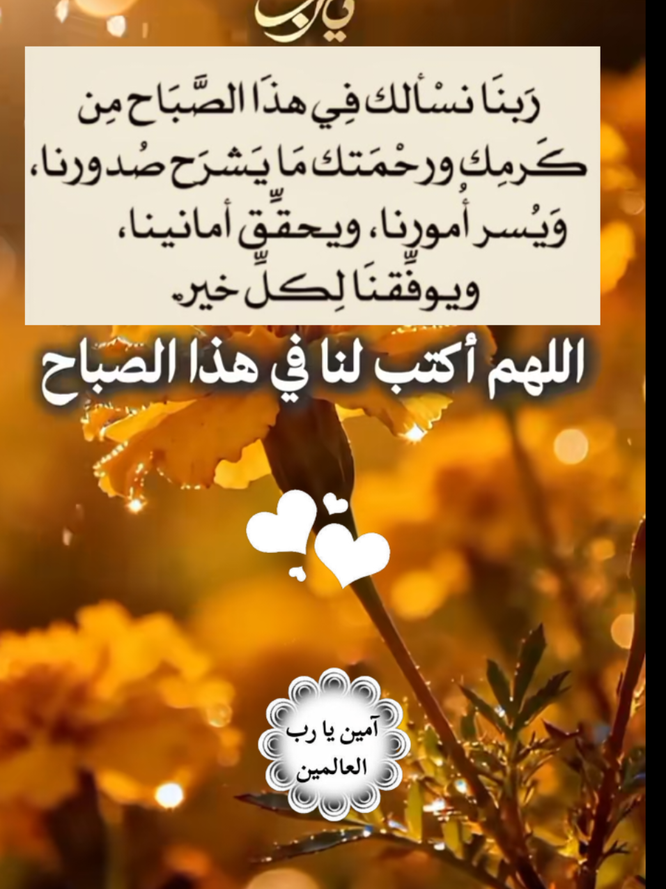 #آمين_يارب_العالمــــــين #دعاء #دعاء_الصباح #اللهم_فرج_همومنا_واصلح_احوالنا #يارب_فوضت_امري_اليك 