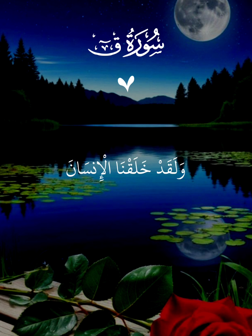 ولقد خلقنا الإنسان ونعلم ما توسوس به نفسه 🤲 #قران_كريم #قران #القران_الكريم #quran #quran_alkarim 