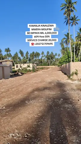 #creatorsearchinsights #omantiktok #plot #plotsforsale #landforsale 