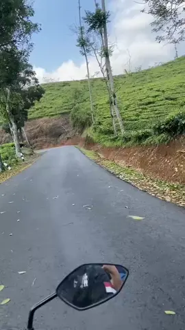 suana na d perkebunan teh cianjur selatan sama cibuni bandung selatan itu sama2 bagus jg ya..