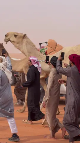 🔥🏆. - #ابن_جخدب #الموت_الحمر #الشقح #حصري #تصريح 