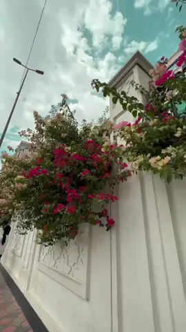 جامعتي🤍.                                                 #جامعة_الاسراء 