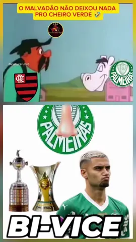#PALMEIRAS #BRASILEIRÃO #LIBERTADORES #FLAMENGO 