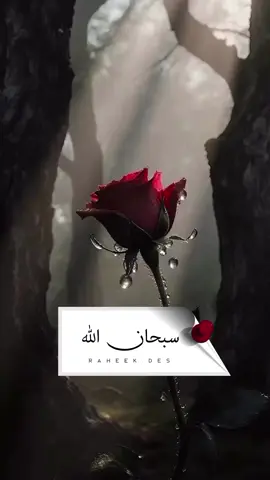 #سبحان_الله #alhamdulileh #لااله_الا_الله #الله_اكبر #لاحول_ولا_قوة_الا_بالله 