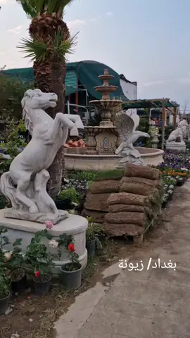 مشاتل زيونة  #بغداد_العراق #بغداد #موسيقى #زيونة #مالي_خلق_احط_هاشتاقات 