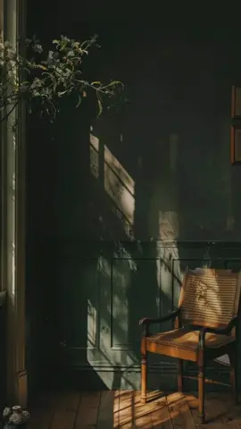 السّعادة🤍 #كلام_من_ذهب #السعادة #alhamdulileh #الحمدلله_دائماً_وابداً 