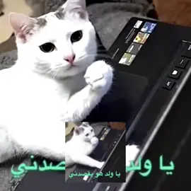 يقصدني ولا وش يقصد ذا؟#رياكشن #رياكشنات #الشعب_الصيني_ماله_حل😂😂 