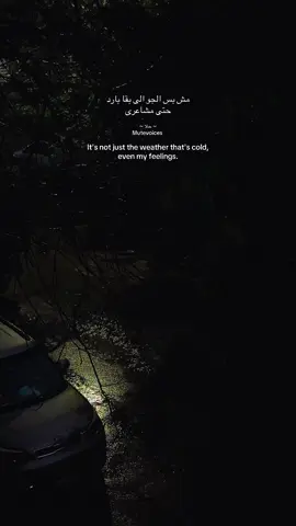 #فيروز #فيروزيات #mutevoiceshala #مطر 